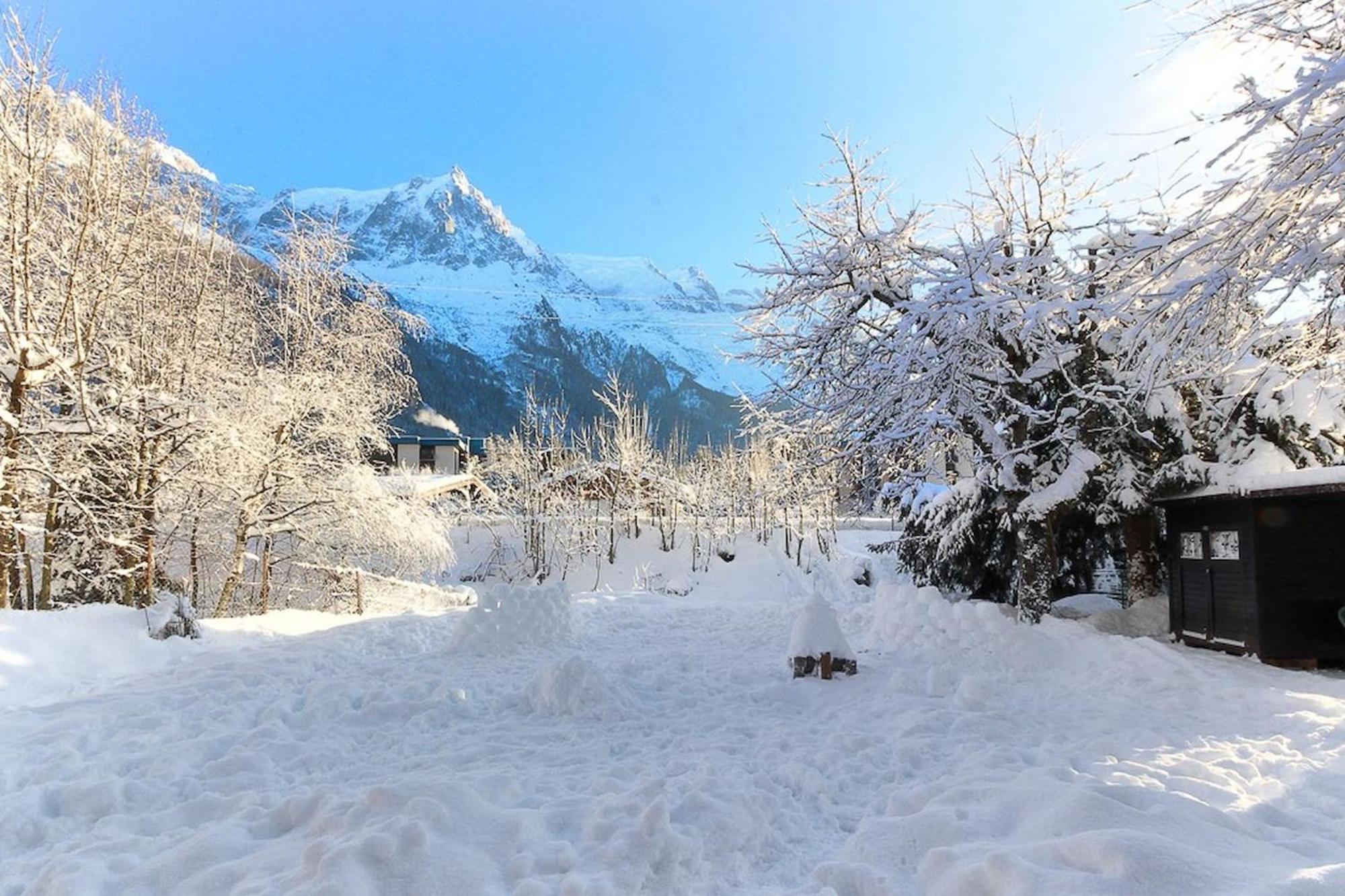 Apartment Violette De Cham - Jardin Prive - Vue Mont Blanc